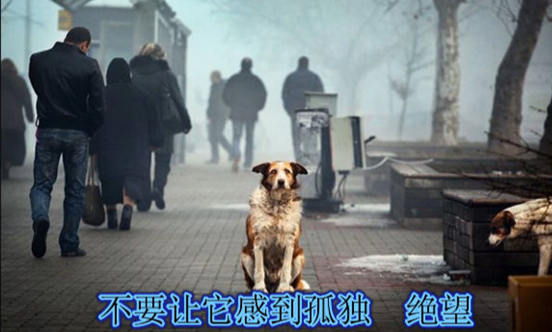 扬州扬州爱影圈微博微信转发案例
